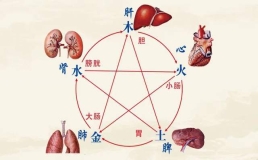 非常全面的五脏（心、肝、脾、肺、肾）调养方法，强烈建议收藏