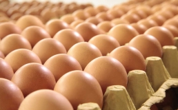 鸡蛋有三种“最差”吃法，浪费营养、不利健康