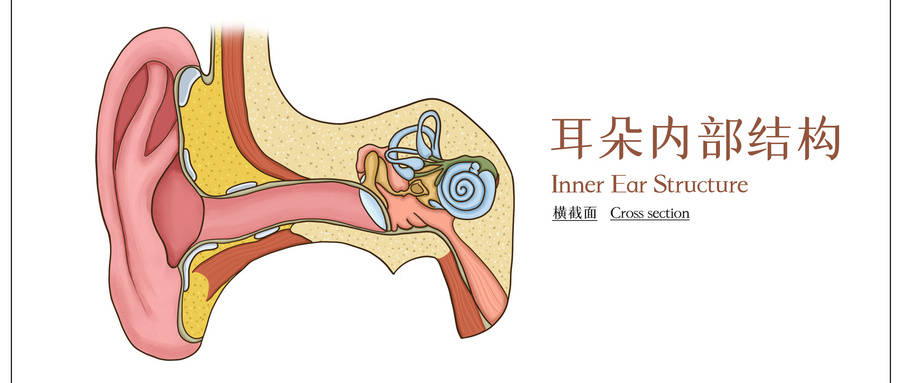 耳石症引起的眩晕怎么治