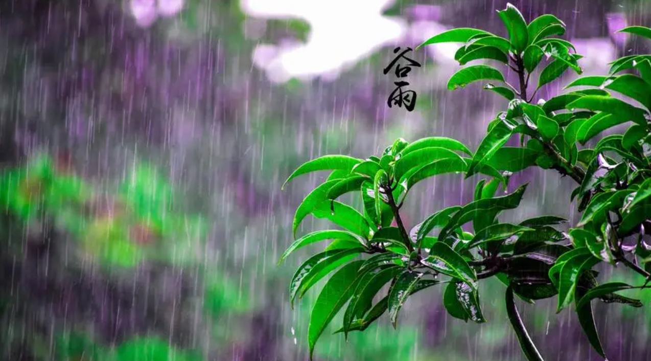 今日谷雨，湿气越来越重的节气，养生应该做点什么？一文列全